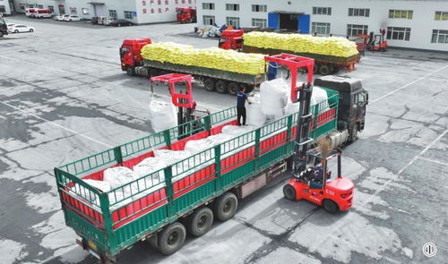 滿(mǎn)負(fù)荷生產(chǎn)化肥助春耕 運(yùn)輸保障筑牢豐收根基